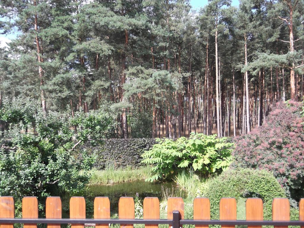 Amselgarten Lübben Εξωτερικό φωτογραφία